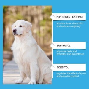 Dog Syrup, Pet Dogs Absorb Nutrition Care Health Special Maintenance Supplement Syrup - Image 5
