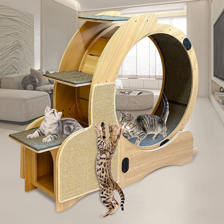 Cat Sports Running Wheel