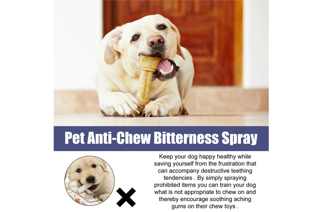 save furniture from pets